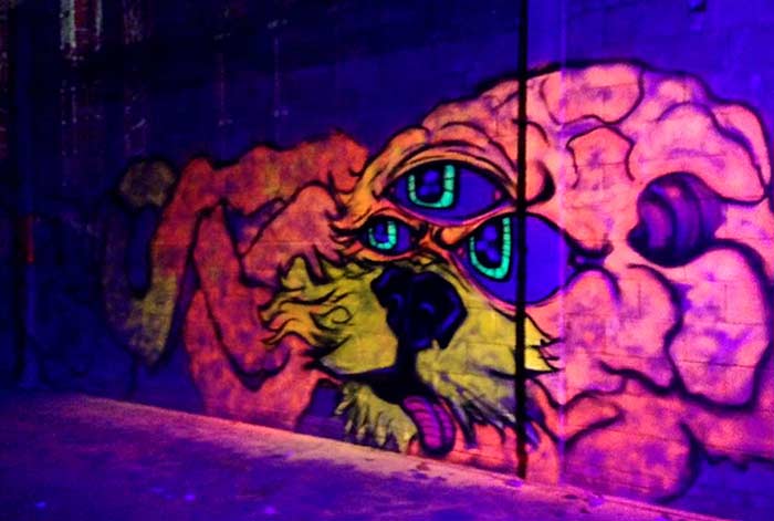 BLACKLIGHT PAINT  Neon, Street art, Graffiti