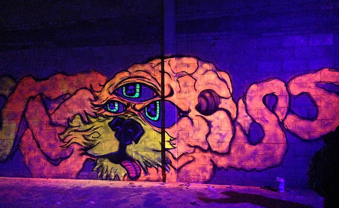 BLACKLIGHT PAINT  Neon, Street art, Graffiti