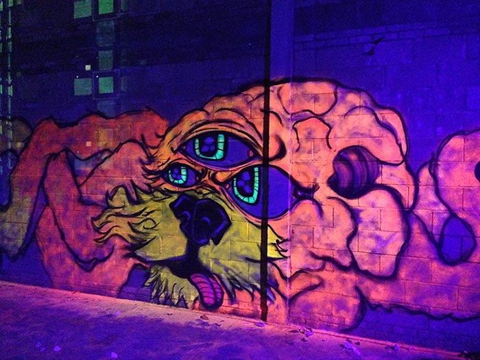 BLACKLIGHT PAINT  Neon, Street art, Graffiti