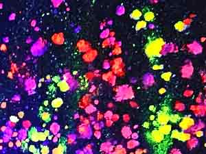 Black Light Impressionist Mural on Timber Wall at My Thai Manchester