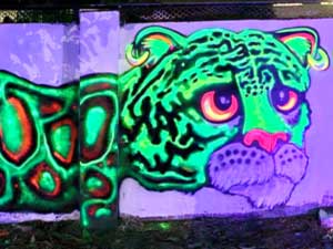 Formosan Clouded Leopard Black Light Mural Taichung, Taiwan